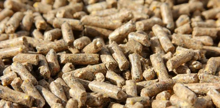 Animal feed