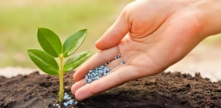 Fertilizer