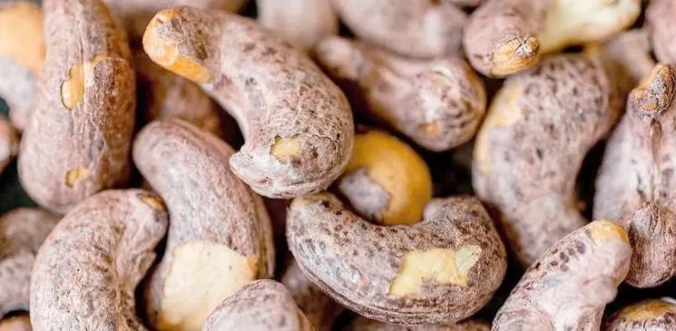 Cashew