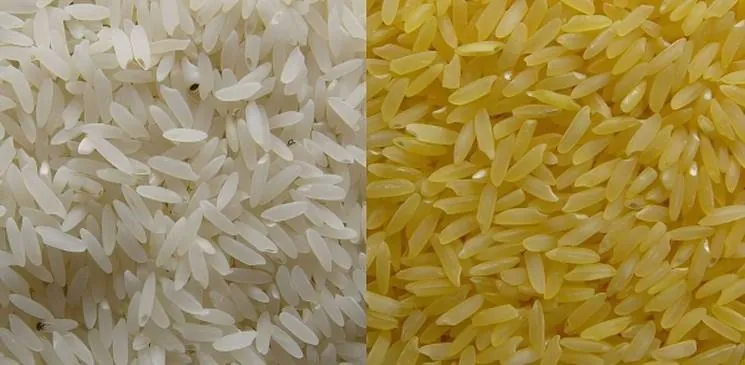 Rice