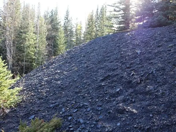 Coal