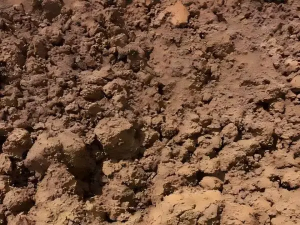 Nickel ore